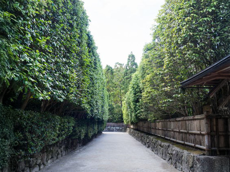 銀閣寺