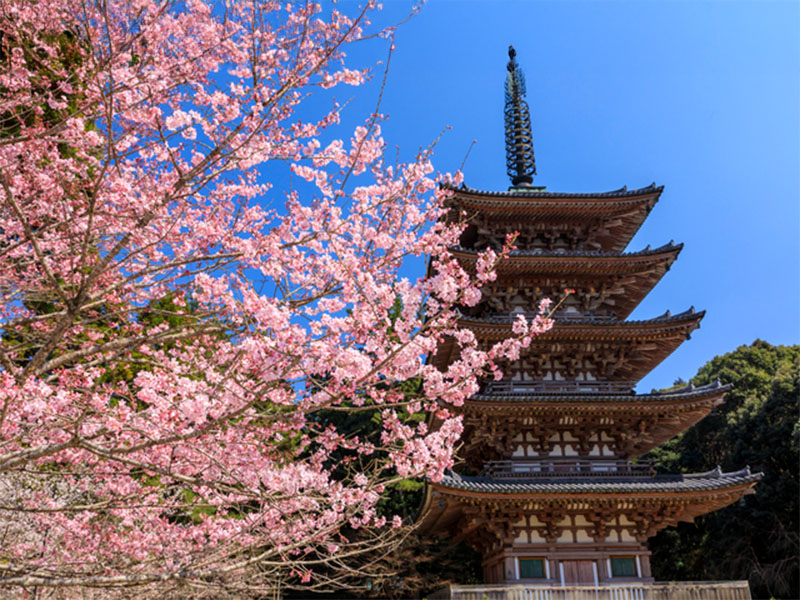 醍醐寺