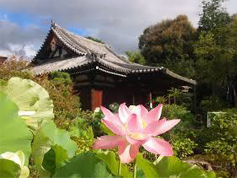 法金剛院