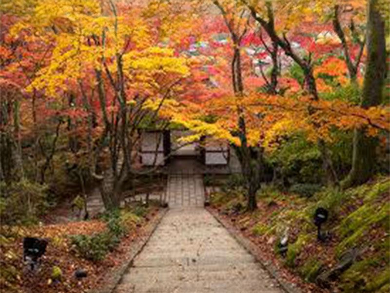 常寂光寺