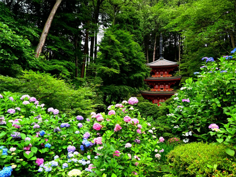 岩船寺