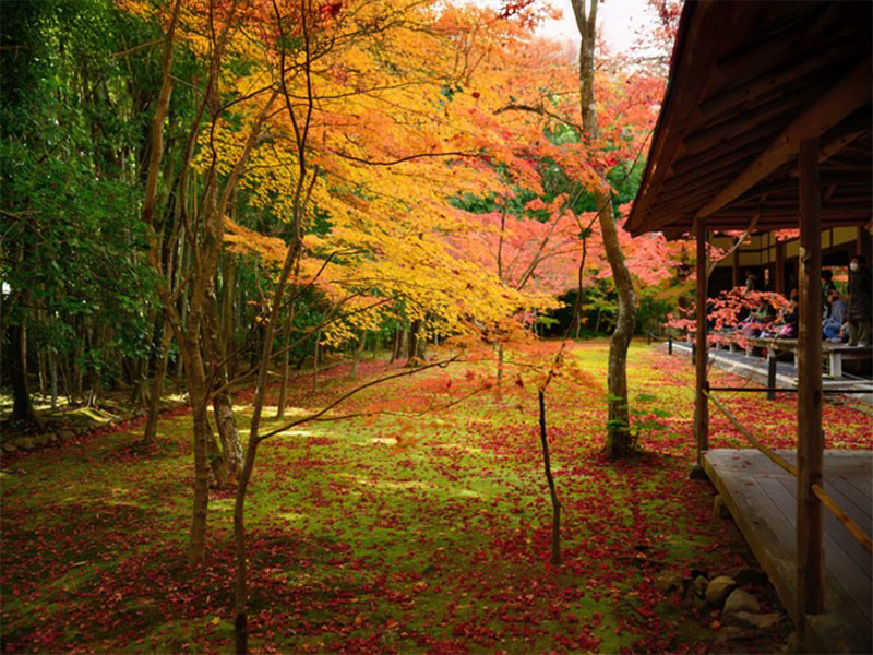 高桐院